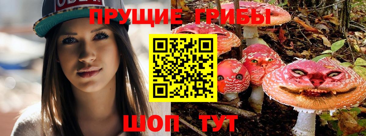 Псилоцибиновые грибы мухоморы Красноуфимск
